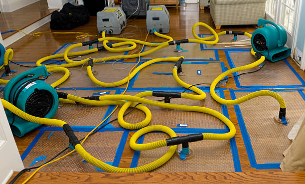 Professional Basement Flood Cleanup technician working in Arkansaw, WI